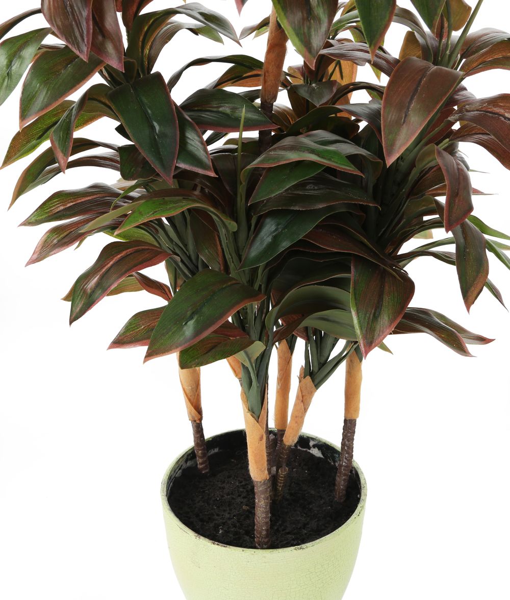 Artificial 2ft Variegated Dragon Tree Plant Artplants