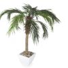 Artificial 5ft Pygmy Date Palm Tree Artplants