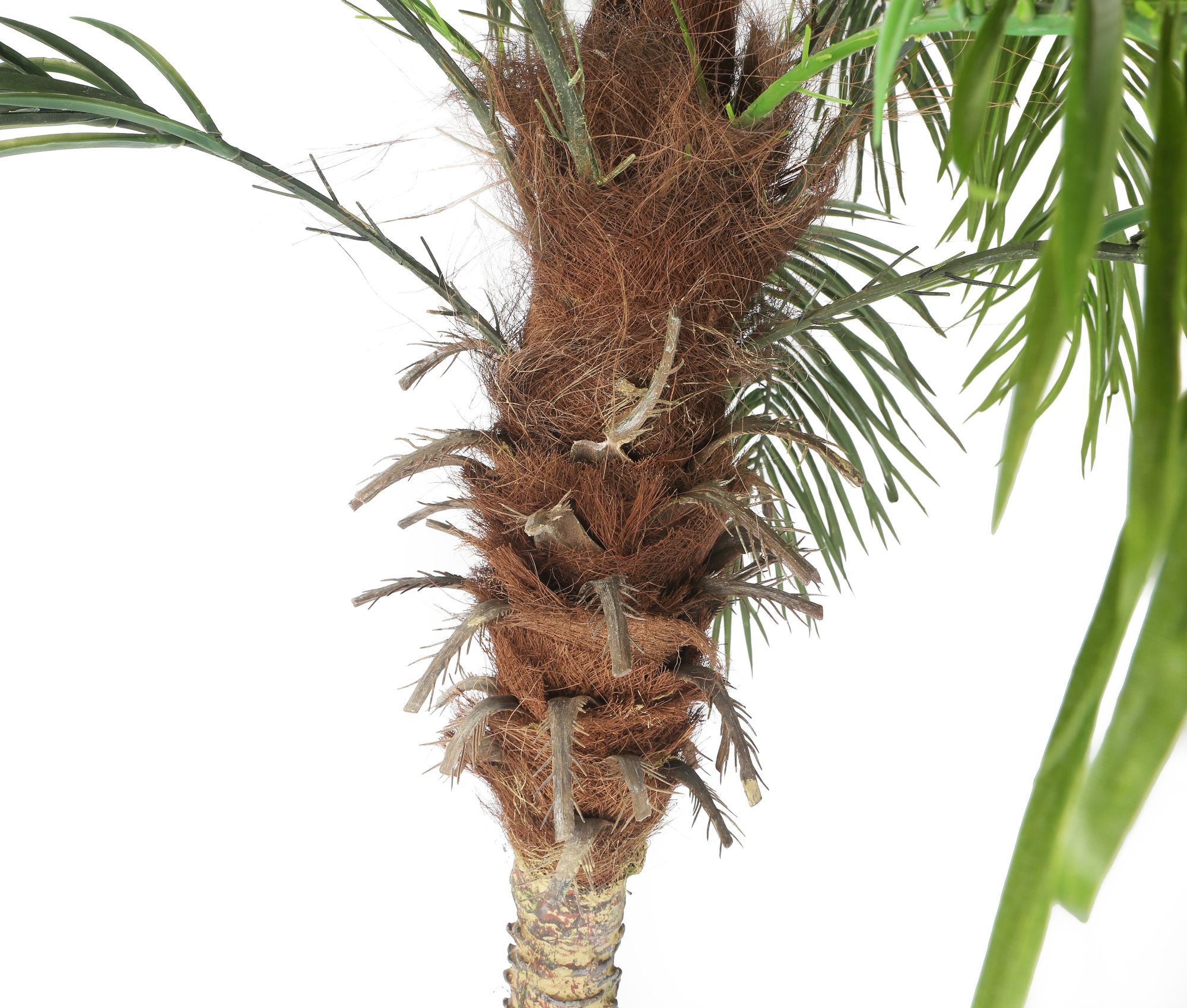Artificial 5ft Pygmy Date Palm Tree, Fake Palm, Faux Palm Tree, Silk