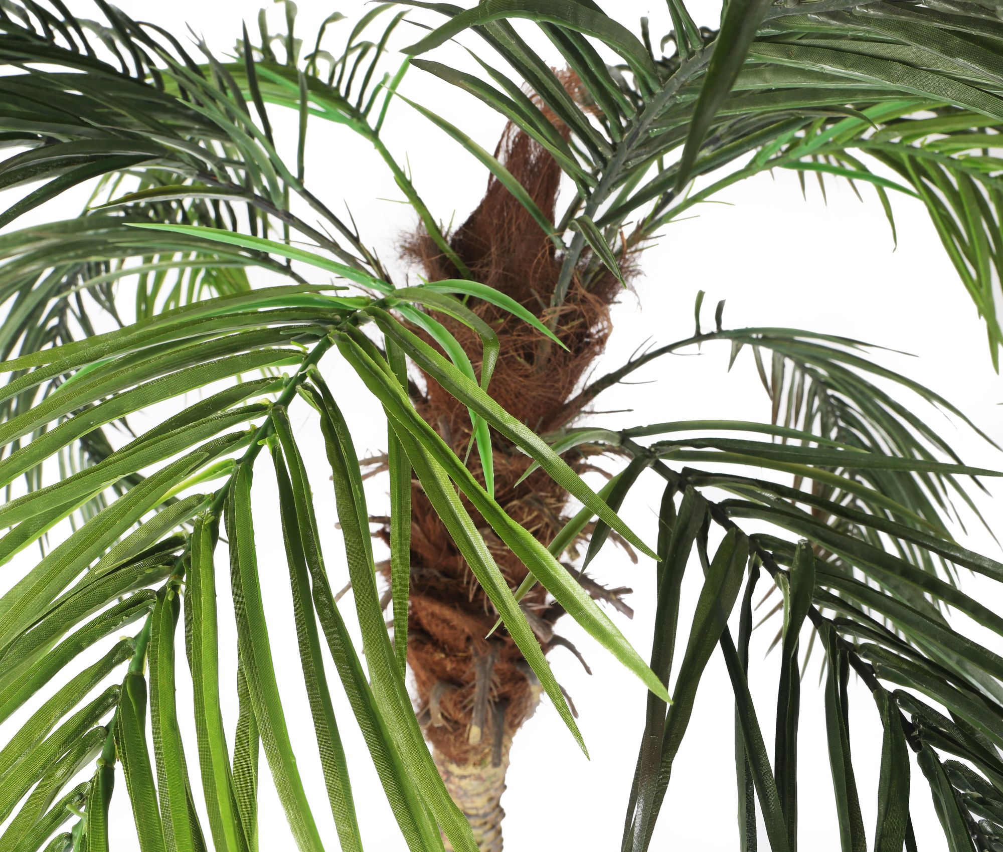 Artificial 5ft Pygmy Date Palm Tree, Fake Palm, Faux Palm Tree, Silk