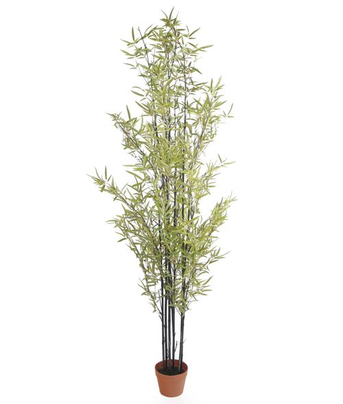 Buy Artificial 6ft 5" Black Bamboo Tree Artificial Silk Plant and
