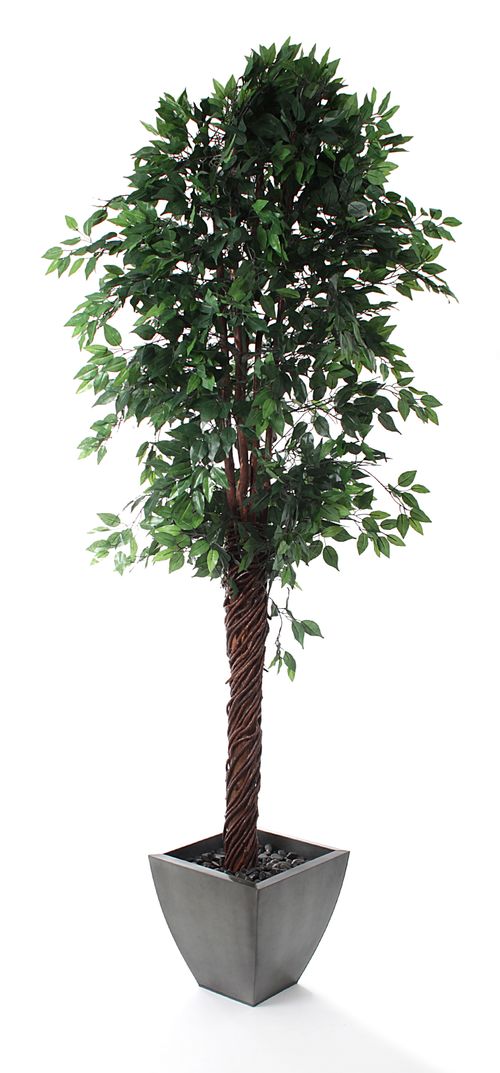 Buy Artificial 8ft Midnight Weeping Fig Tree Artificial Silk Plant