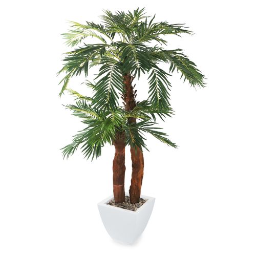 Buy Artificial 5ft 5" Areca Palm Tree Artificial Silk Plant and Tree