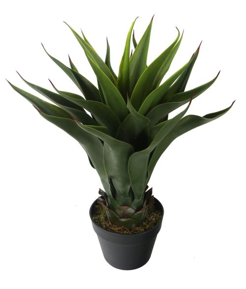Buy Artificial 2ft Agave Plant Artificial Silk Plant and Tree Range