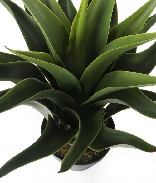 Buy Artificial 2ft Agave Plant Artificial Silk Plant and Tree Range