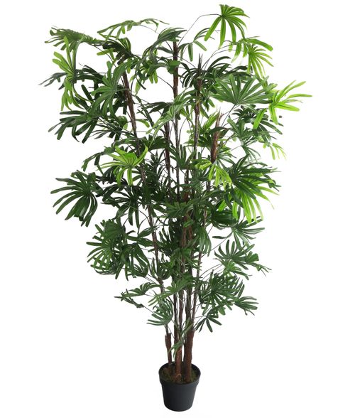 Buy Artificial 6ft Finger Palm Tree Artificial Silk Plant and