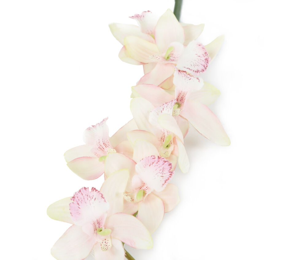 Artificial 84cm Single Stem Pale Pink Cymbidium Orchid | Artplants