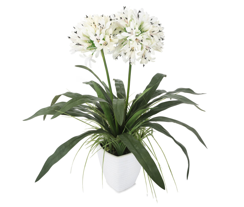 Artificial 2ft 7″ White African Lily Plant | Artplants