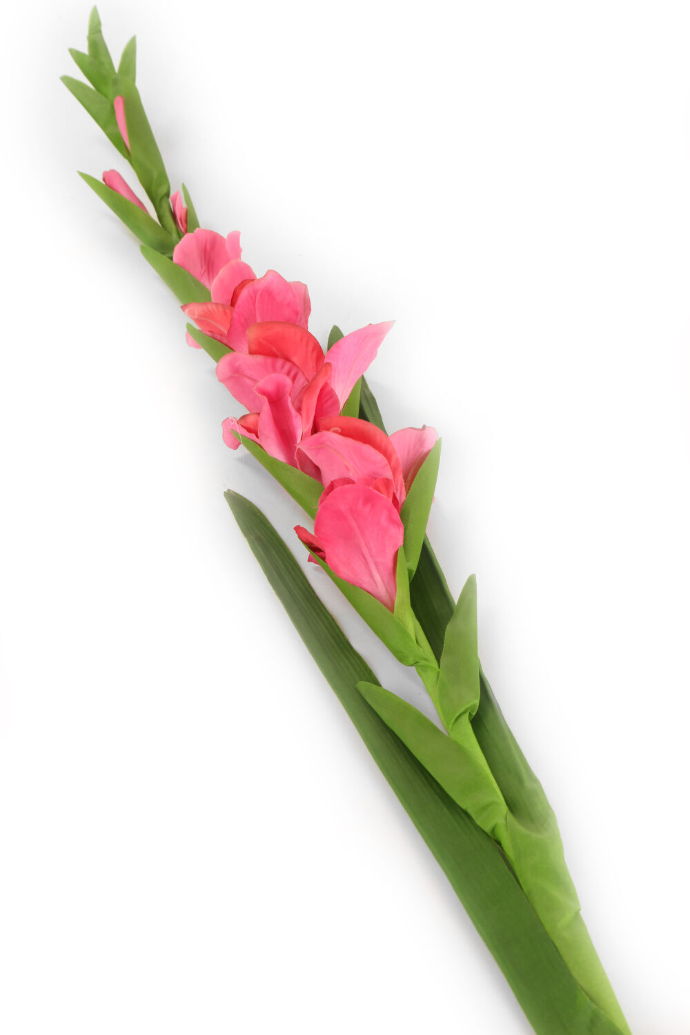 Как сделать гладиолус. Gladiolus мышца. Гладиолус поделка. Цветы из бумаги гладиолусы. Квиллинг гладиолусы.
