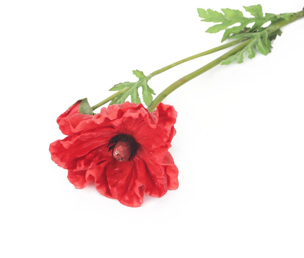 Artificial 74cm Single Stem Real Touch Red Poppy Artplants